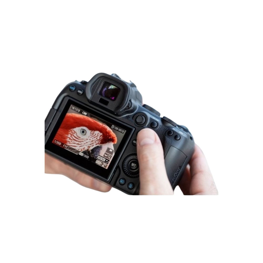 Canon EOS R5 47.1MP Full-Frame Mirrorless Camera (Body Only)